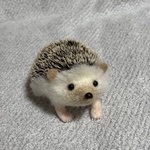 羊毛フェルト　ハリネズミ大　顔ベージュ　ハンドメイド