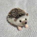 羊毛フェルト　ハリネズミ中　顔薄茶　ハンドメイド