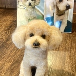値下げ‼︎★オーダーメイド★うちのこ羊毛フェルト