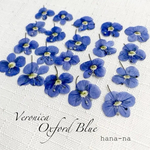 瑠璃色の花🔹ベロニカ Oxford Blue ＊ 押し花