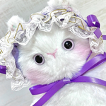 ねこちゃん🐱とヘッドドレス🎀
