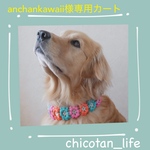 ⭐︎ anchankawaii様専用カート⭐︎他の方のご購入はお控えください