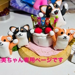 美美ちゃん専用ページです