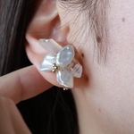 氷花 ひょうか / 雪が溶けた後に咲く花 イヤリング / ピアス クリスタル　水晶　天然石　パール　淡水パール　ホワイト　白　シンプル