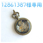 12861387様専用