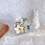  ❤︎ A fruit that brings happiness ❤︎ Plumeria ❤︎ White Buddha nuts ❤︎
