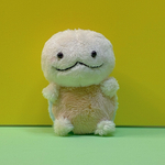赤ちゃんリクガメの「そらまめ」