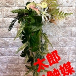 光触媒　人工観葉植物　ウォールグリーン　フェイクグリーン　壁掛けモンステラ663