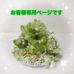 お客様専用ページです