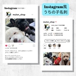 SALE♡インスタグラム風♡うちの子名刺　両面印刷100枚　