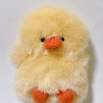 ちびグワーず（あひる？ひよこ？キイロい子🐣🪿）