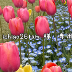 ＊オーダー品＊ichigo26tam様専用