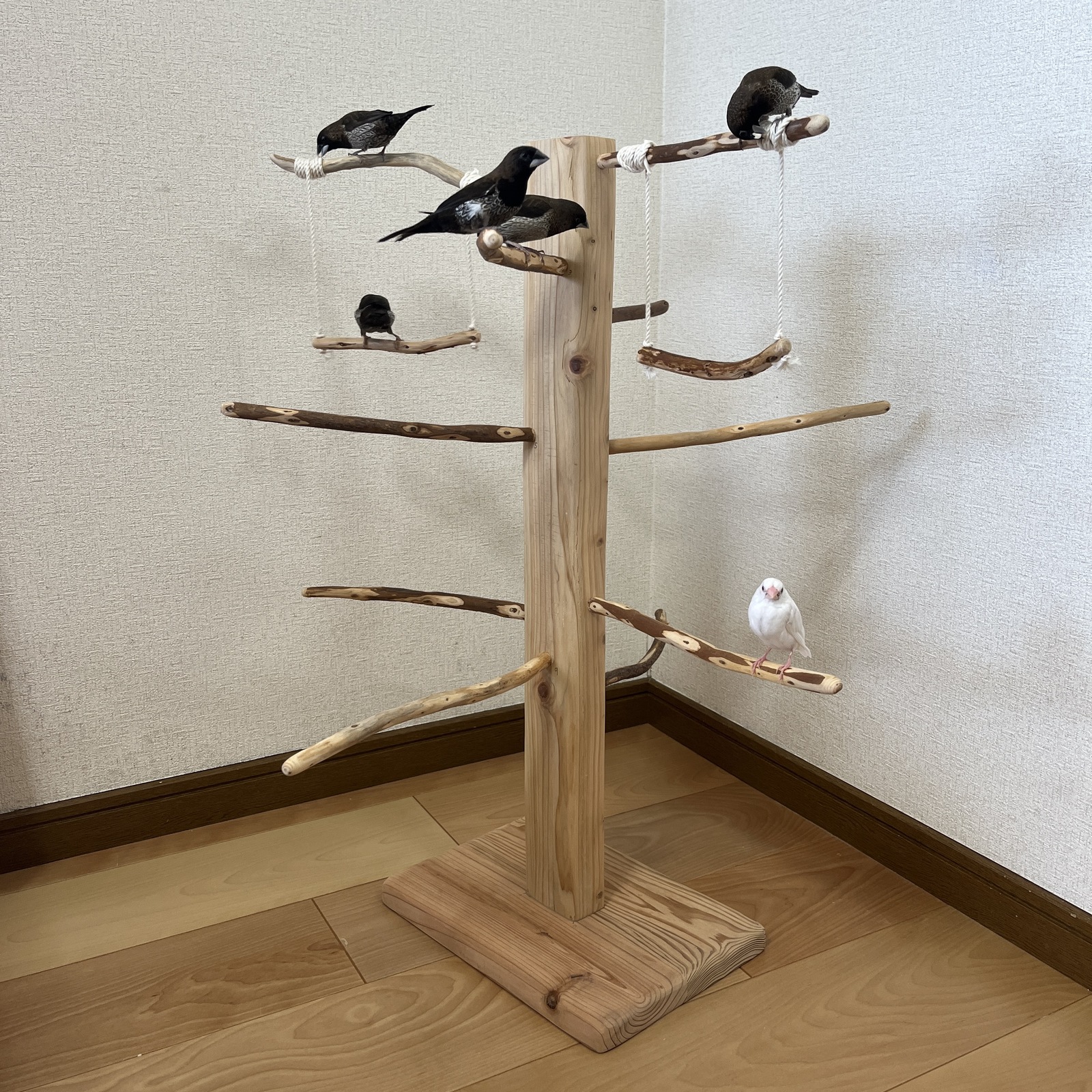 大型鳥さん用】重量感たっぷり ♪ 頑丈などすこいオウムスタンド