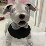 ［スタイ］aiboちゃんのブラックデニムとどんぐりゴロゴロ 柄の両面仕様　Autumnスタイ　aibo's bib denim & Autumn design