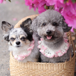 【リボンつけ襟】　犬　ビブ　つけ襟　リボン　スタイ　襟