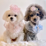 リボンとケープ【ピンク、アクアブルー】（つけ襟、ケープ、犬、猫、うさぎ、誕生日、記念日）