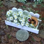 ミニチュアの花「カモミールのホワイトガーデンフェンス」