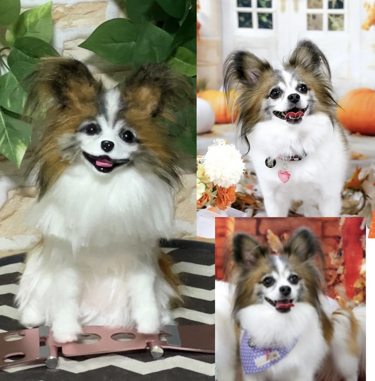 パピヨン - フェルトの人気通販 | minne 国内最大級の