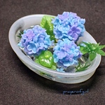 紫陽花と青もみじで季節を感じつつ