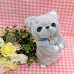 ねこ君🩵ぬいぐるみ
