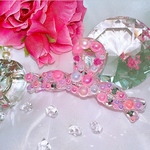🩷Deco HAIR CLIP🩷