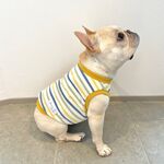 タンクトップ　ボーダー　ブルー&イエロー