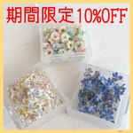 ★期間限定10%OFF商品★ドライフラワーセット