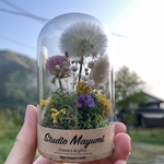 【送料込】【SALE】たんぽぽの綿毛のボトルフラワー③