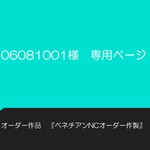 06081001様　専用ページ