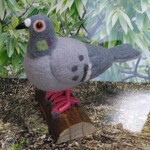 羊毛フェルト☆野鳥　ドバトくん(カワラバト)