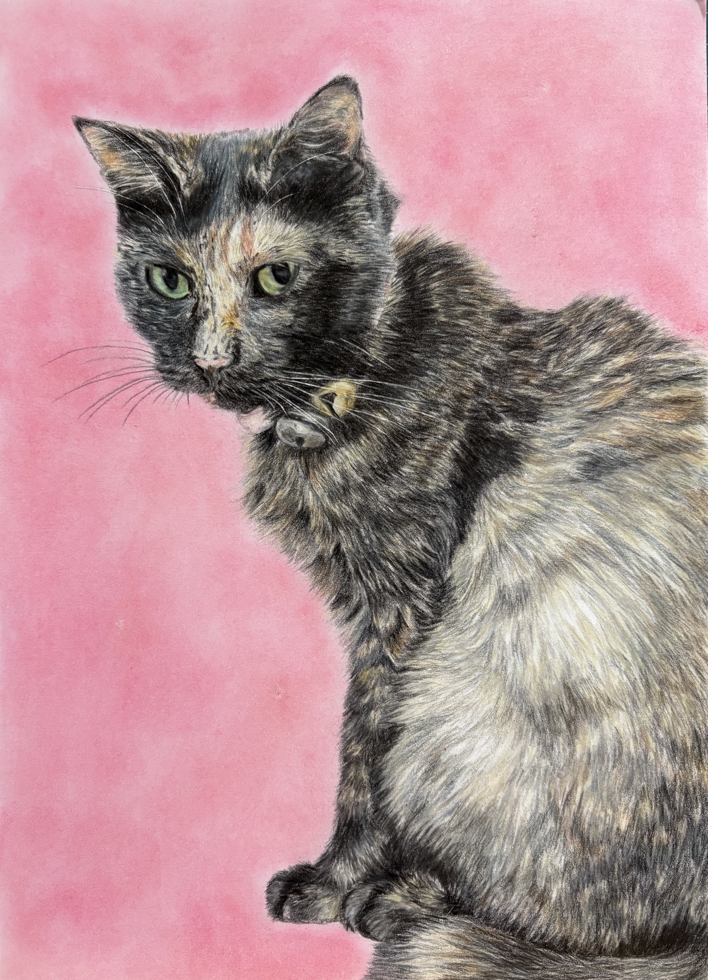オーダーメイドねこの絵 うちの子アート ペット似顔絵 ねこ