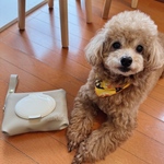 再販♡グレージュカラー♡おしりふきポーチ