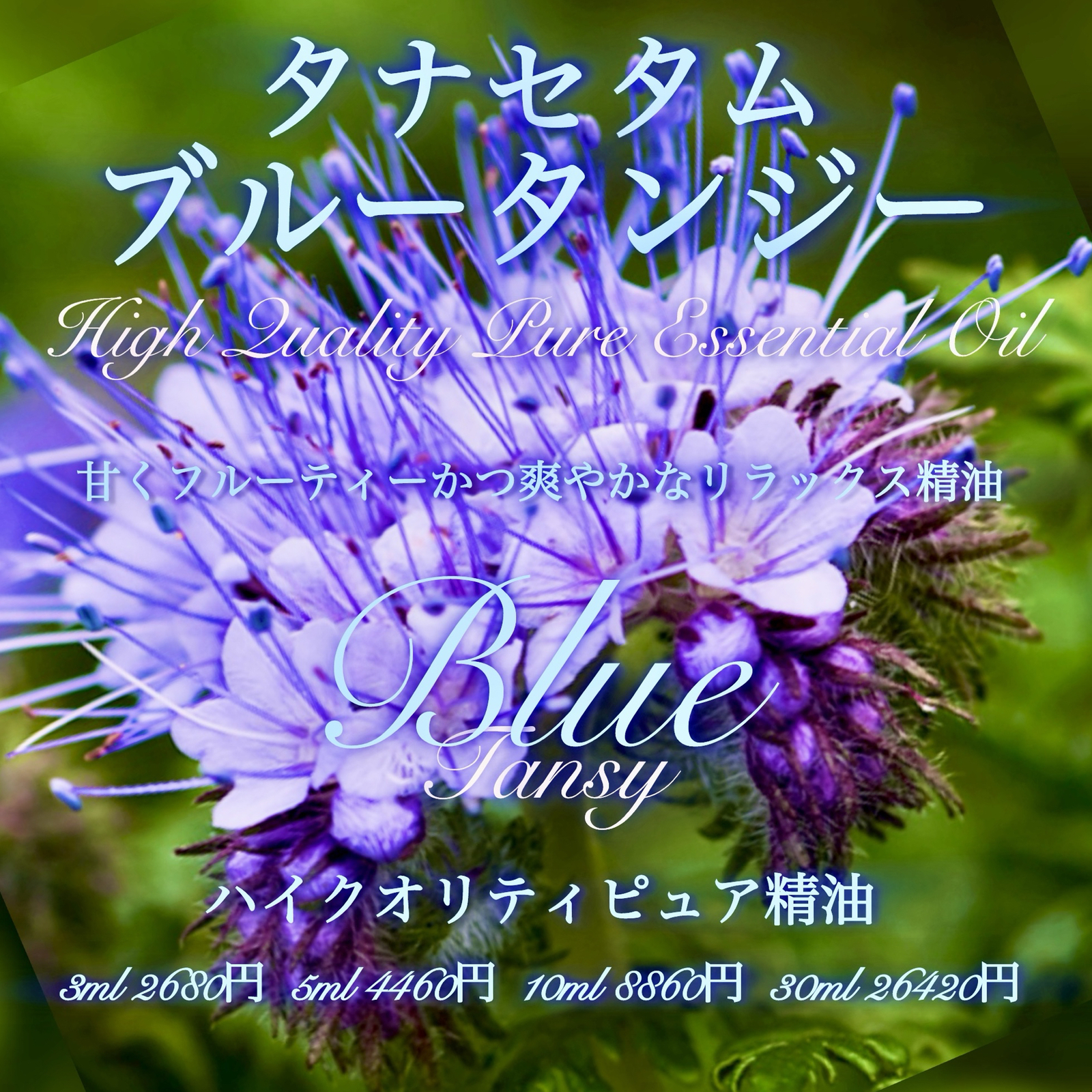 ブルータンジー(タナセタム)精油10ml