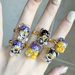 〜miniビオラアニマル🧸リングガチャ〜