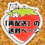 【再発送のご購入ページ】（住所間違えやお客様都合による再送）