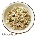 【 チョコレート 】かすみ草　スタンダードカラー　大容量　淡色 中間色　ドライフラワー　染め　国産　高品質　大 中 小サイズ　レジン　ネイル　ハンドメイド　素材　資材　花材