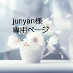 専用ページ