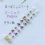 耳つぼジュエリー20粒✧̣̥̇ゴージャスpurple✧̣̥̇チタン粒
