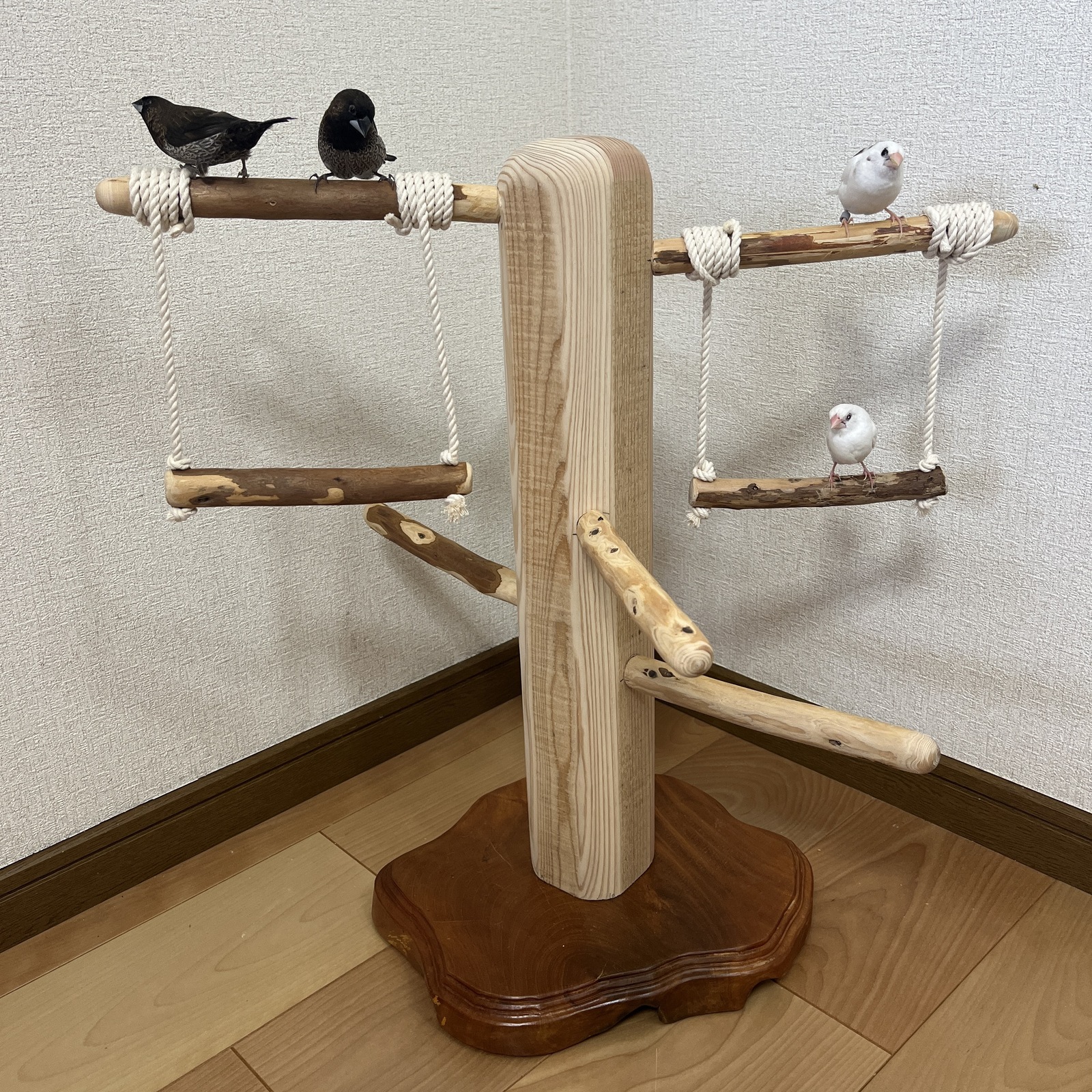 【中型鳥さん用】どっしり♬頑丈なバードスタンド 中型鳥用】Driftwoods螺旋状♬すぃすぃ登れるバードスタンド