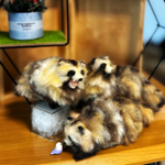 マスコット　受注製作《どの子にする？ひょっこり！3匹のたぬき》