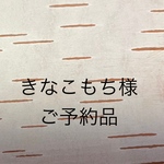 白樺　一輪挿し&紫陽花