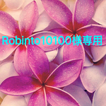Robinto10100様専用