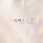 サイズ計測用チップ