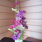 秋のささやき　チョコレート秋桜