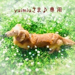 yuimiuさま♪専用