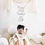 ハーフバースデー　誕生日　ワイヤーアート　ワイヤークラフト　タペストリー　ハッピーバースデー　飾り　バースデーフォト　出産祝い　ベビーフォト　飾り付け　ケーキ