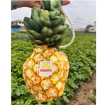 パイナップルポシェット🍍