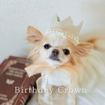 ミニ バースデークラウン（生成り、あご紐／シフォン）ベビークラウン、100日祝い、ハーフバースデー、誕生日、犬、猫