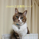 chiethさま専用ページ