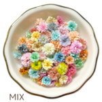 【 MIX 】　かすみ草　スタンダードカラー　大容量　淡色 中間色　ドライフラワー　染め　国産　高品質　大 中 小サイズ　レジン　ネイル　ハンドメイド　素材　資材　花材
